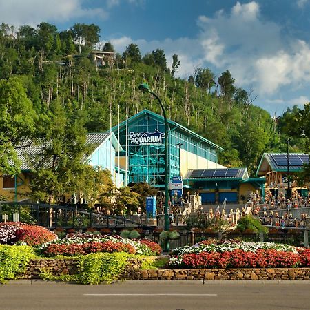 Romance In The Smokies By Distinctive Getaways Villa Gatlinburg Kültér fotó