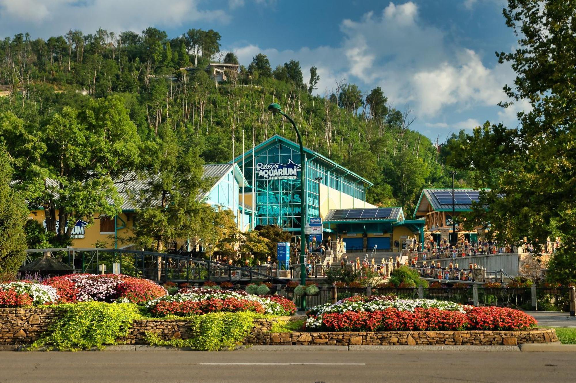 Romance In The Smokies By Distinctive Getaways Villa Gatlinburg Kültér fotó